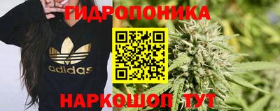 СК Надым