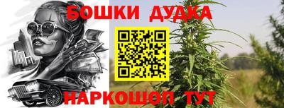 СК Надым