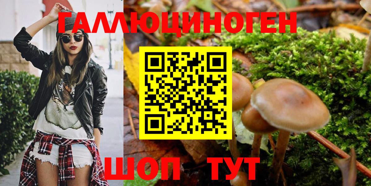 Псилоцибиновые грибы Psilocybine cubensis  Псилоцибиновые грибы Psilocybe  закладки  Алатырь  Вход с VPN 